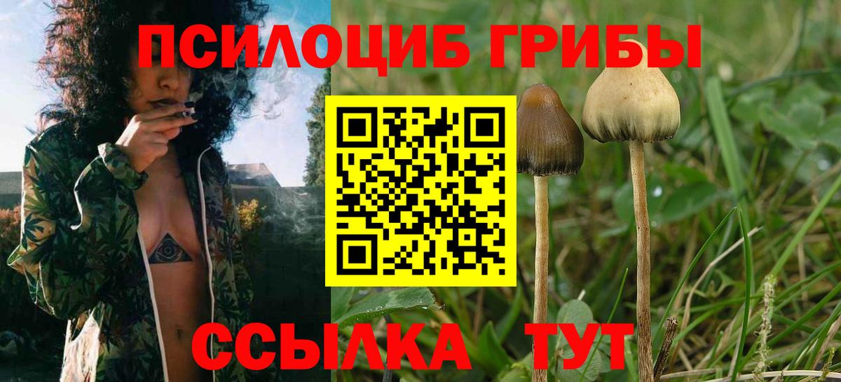 Галлюциногенные грибы Magic Shrooms Азнакаево